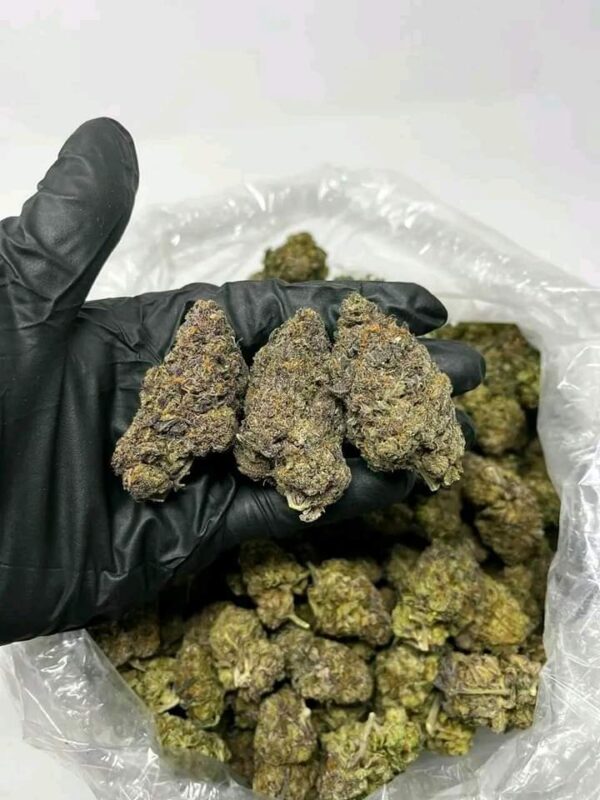 Buddha’s Smile Strain