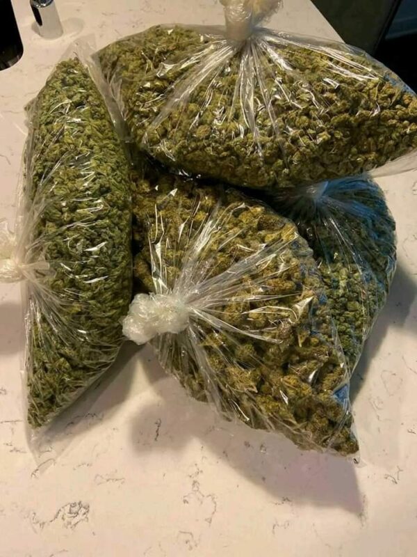 Buddha’s Smile Strain