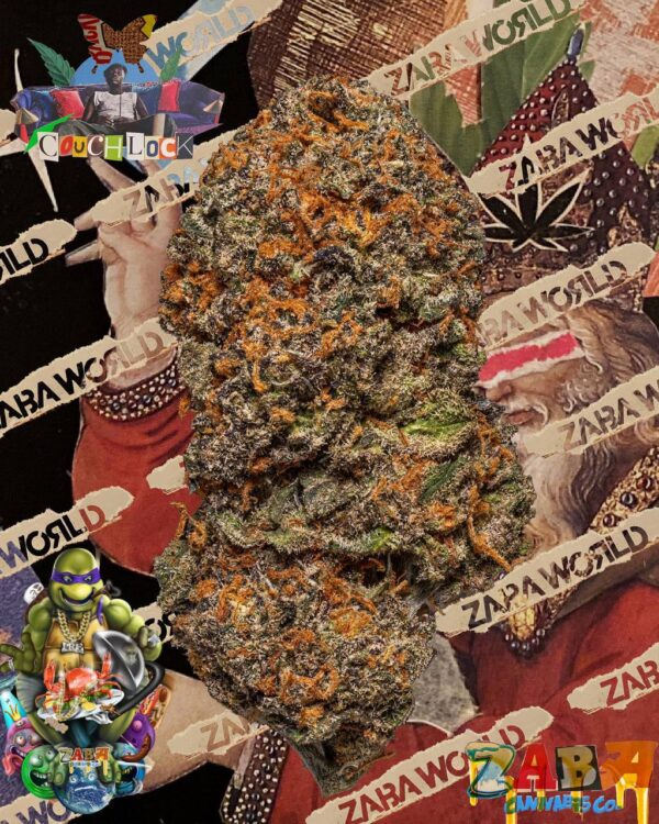 Animal Cookies New Batch