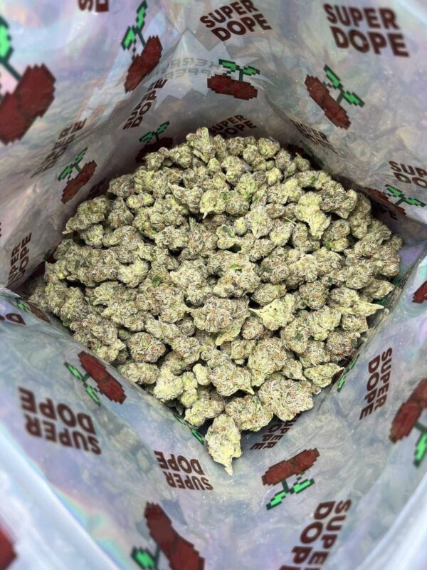 Animal Cookies New Batch