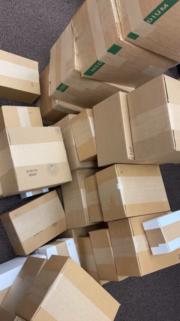 Animal Cookies New Batch