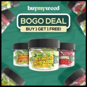 BOGO Deal – Hidden Hills Rainbow Rocks (3.5G)