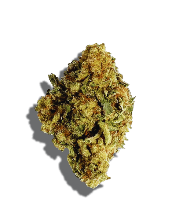 Mendocino Purps Strain