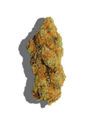 Purple Punch OG Strain