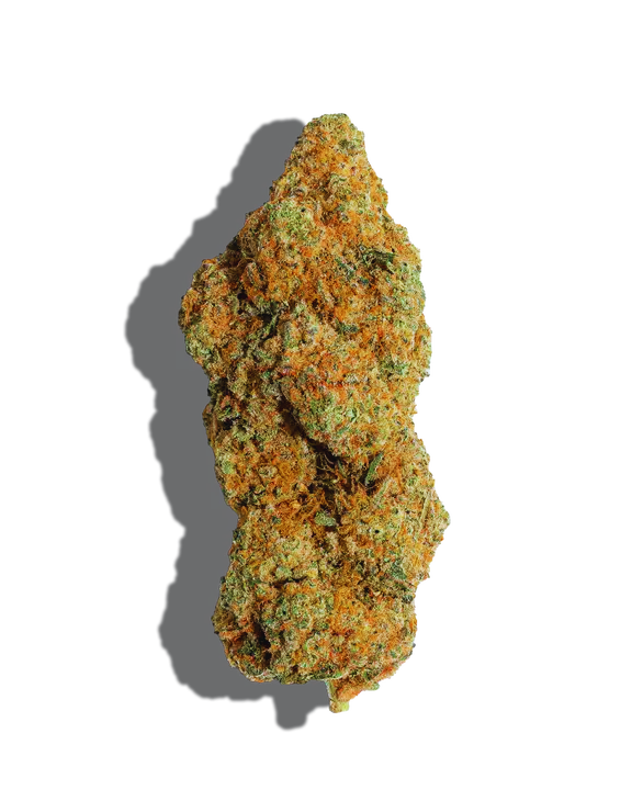 Purple Punch OG Strain