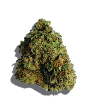 Sherblato Weed Strain