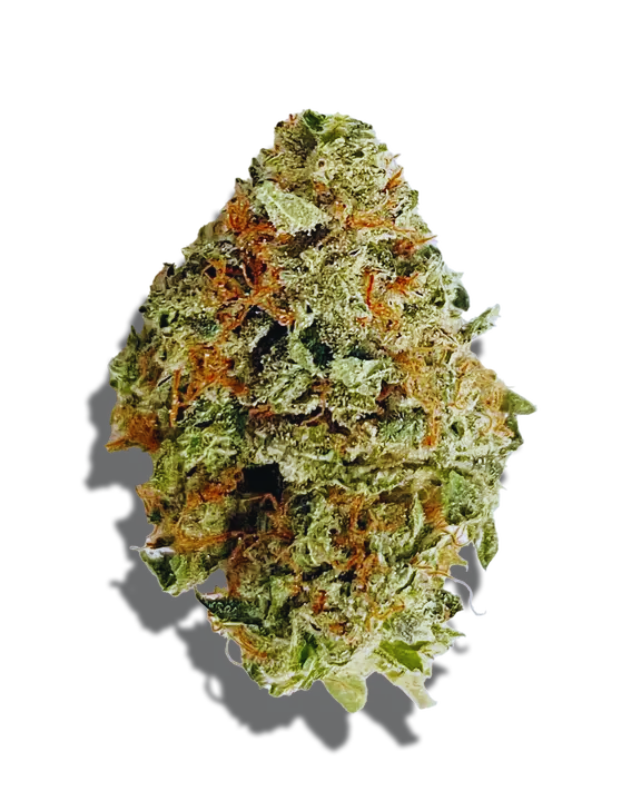 Sundae Driver Weed Strain
